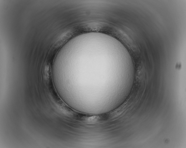 X0000097600122200803141925
