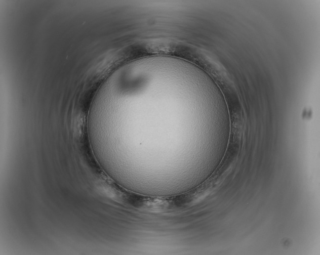 X0000097600125200803141925