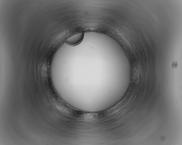 X0000097600126200803141925