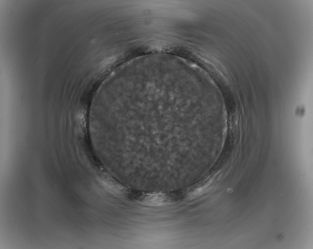 X0000097600127200803141925
