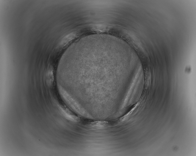 X0000097600128200803141925