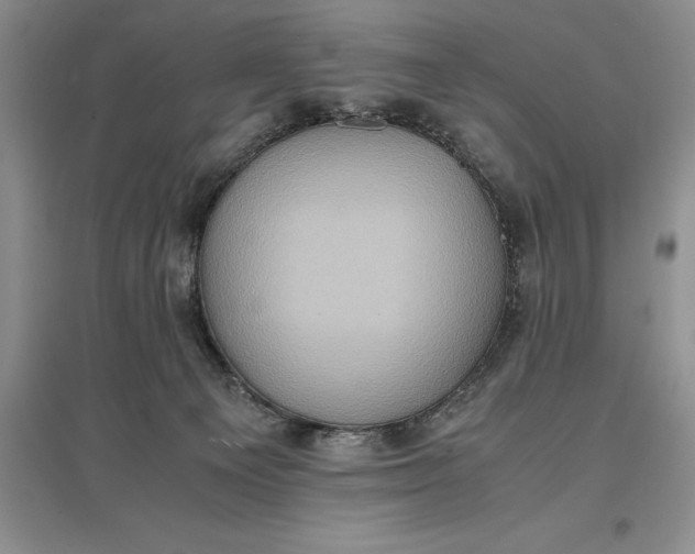 X0000097600129200803141925