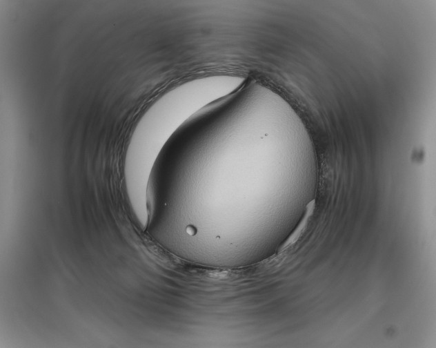 X0000097600130200803141925