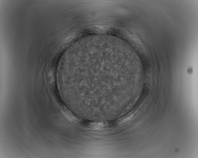 X0000097600131200803141925