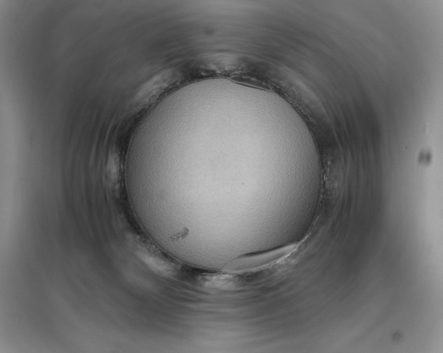 X0000097600132200803141925
