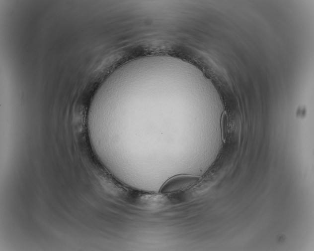 X0000097600133200803141925
