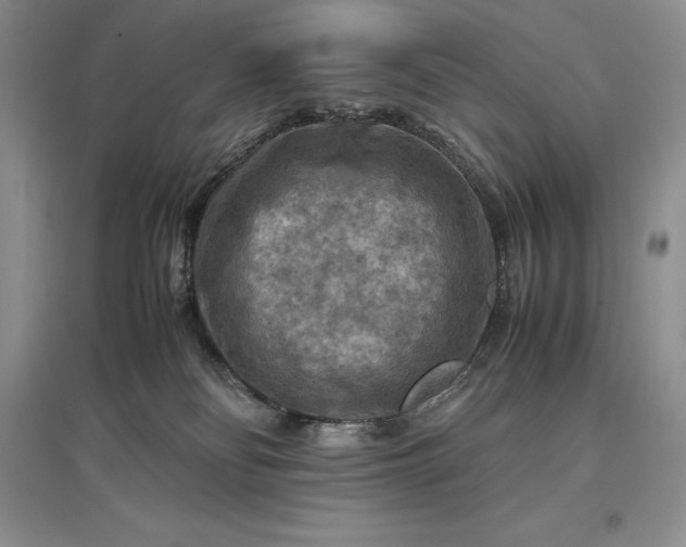 X0000097600134200803141925