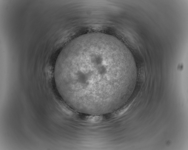 X0000097600135200803141925