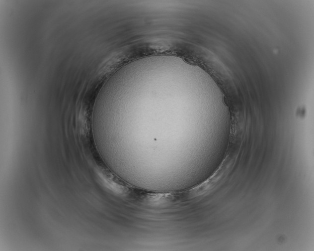X0000097600136200803141925