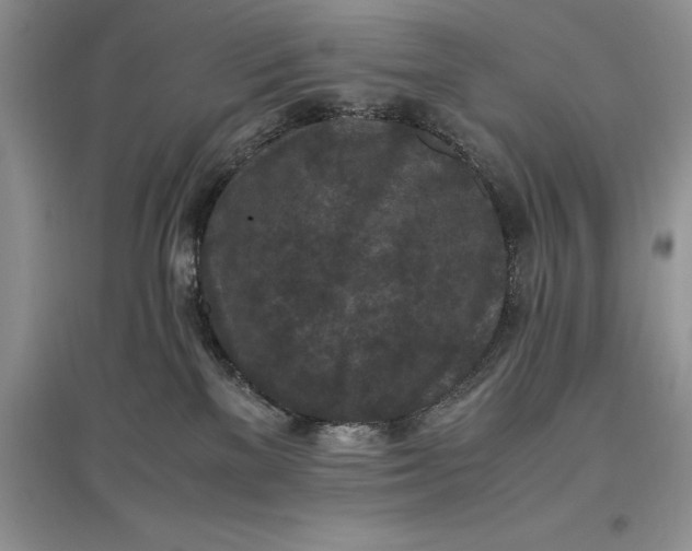 X0000097600137200803141925