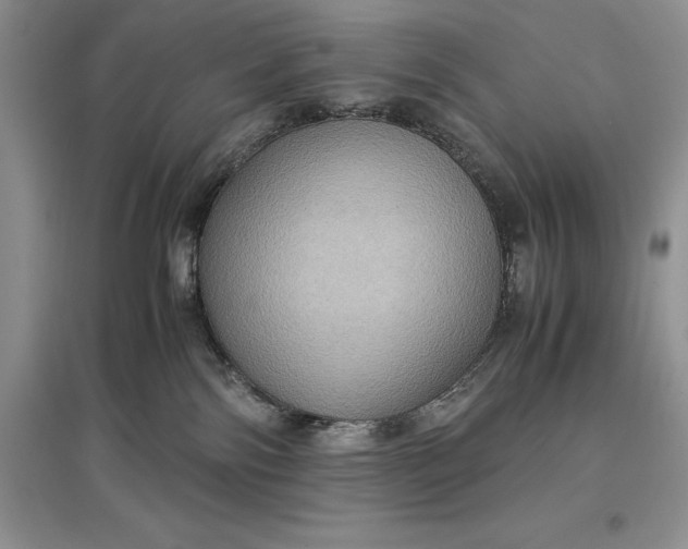 X0000097600138200803141925