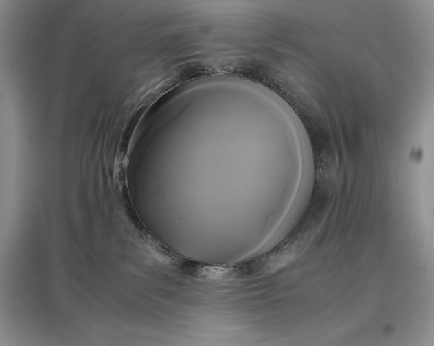 X0000097600139200803141925