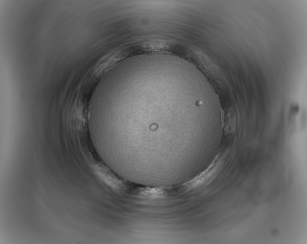 X0000097600140200803141925