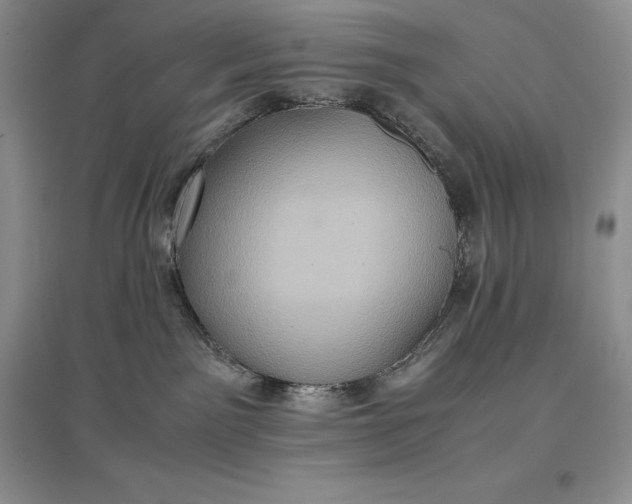 X0000097600141200803141925