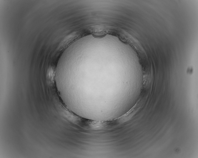 X0000097600142200803141925