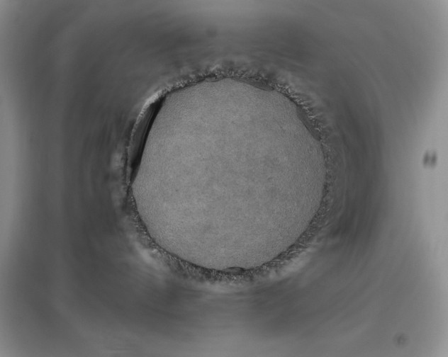 X0000097600144200803141925