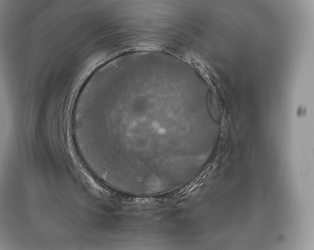 X0000097600145200803141924