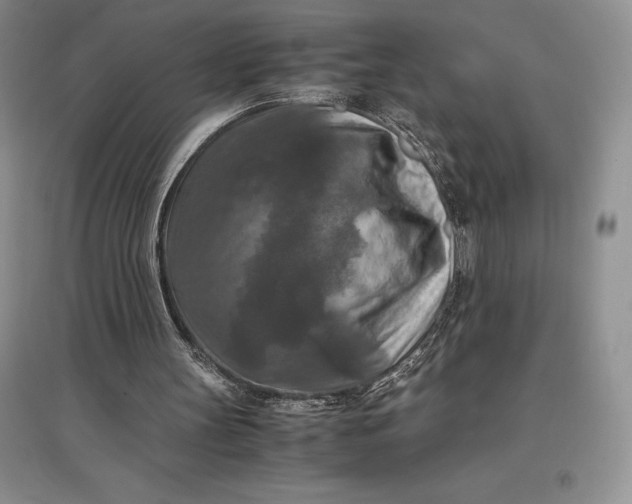 X0000097600147200803141924