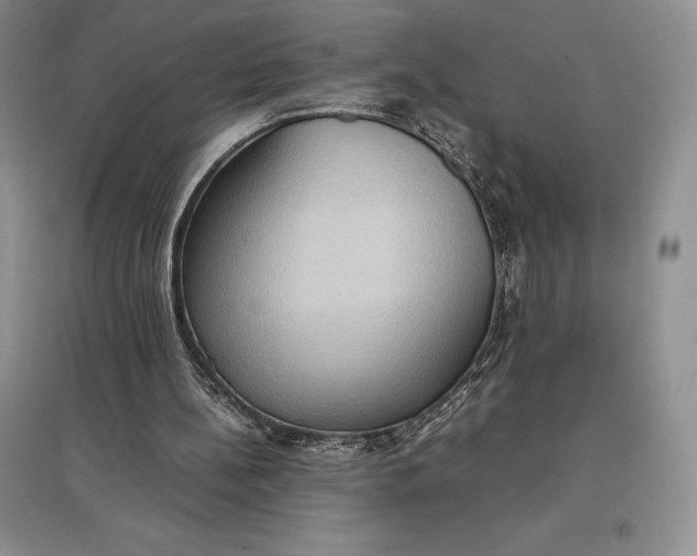 X0000097600148200803141924