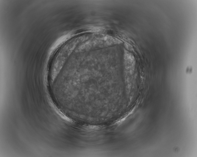 X0000097600149200803141924