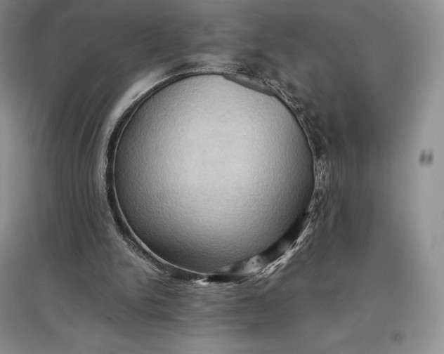 X0000097600150200803141924