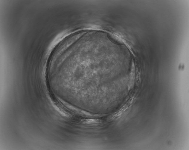 X0000097600151200803141924