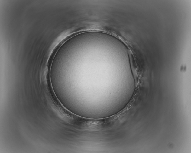 X0000097600152200803141924