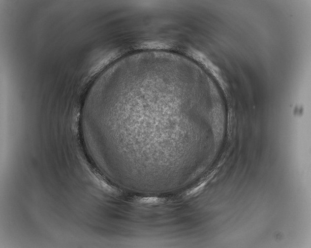 X0000097600153200803141924