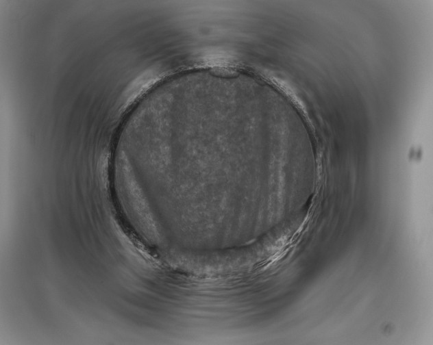 X0000097600154200803141924