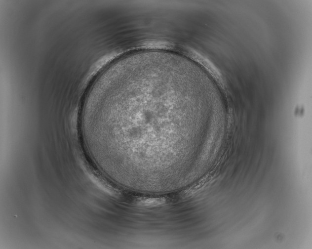 X0000097600155200803141924