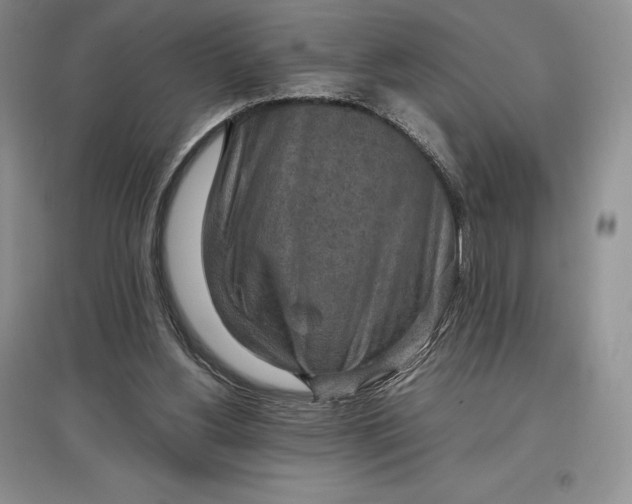 X0000097600156200803141924