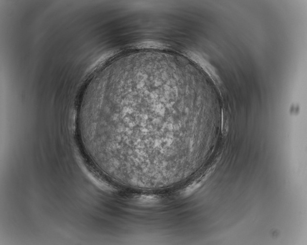 X0000097600157200803141924