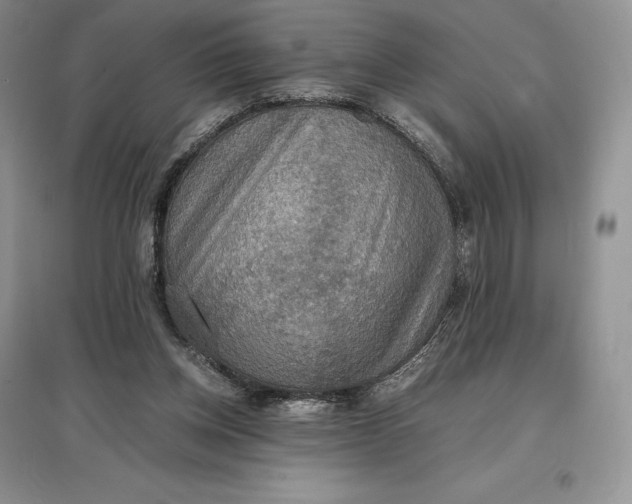 X0000097600158200803141924