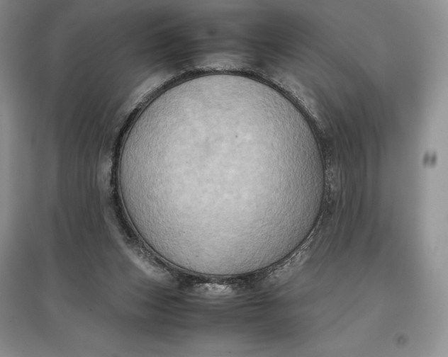 X0000097600159200803141924
