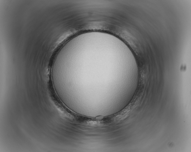 X0000097600160200803141924