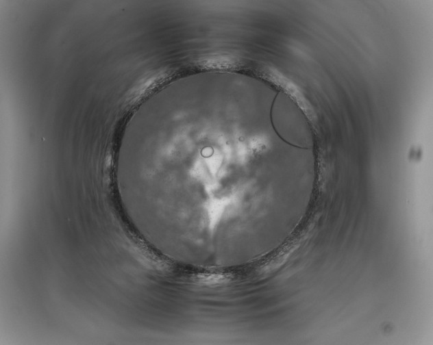 X0000097600161200803141924