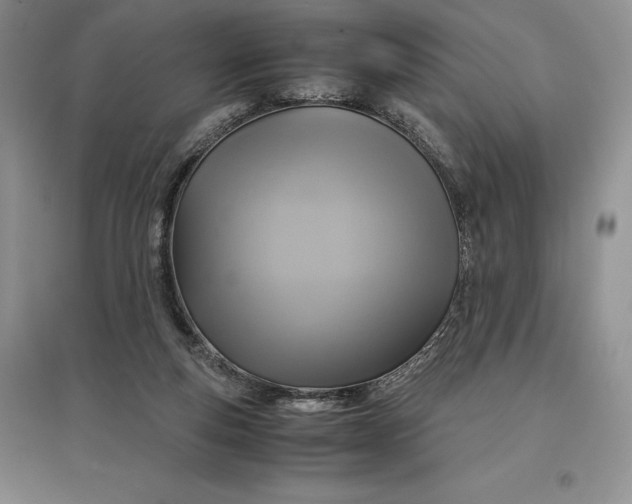 X0000097600163200803141924