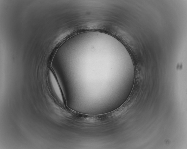 X0000097600164200803141924