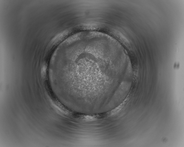 X0000097600166200803141924