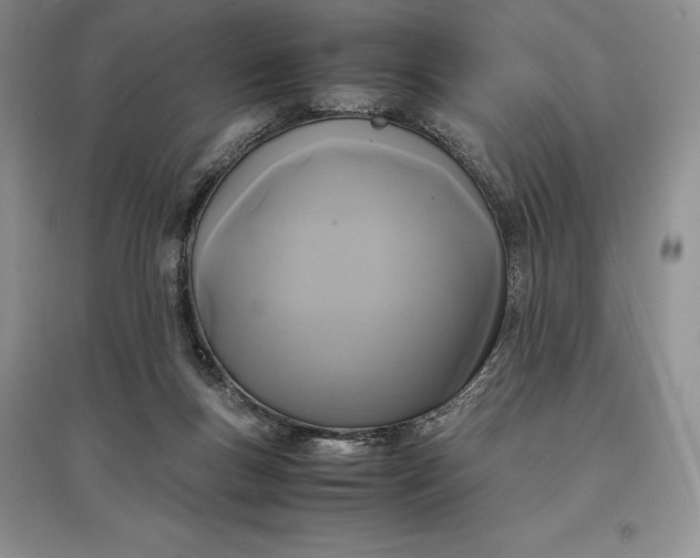 X0000097600167200803141924