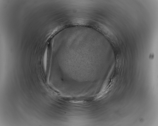X0000097600168200803141924