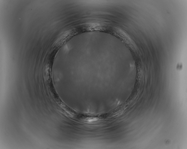 X0000097600169200803141924