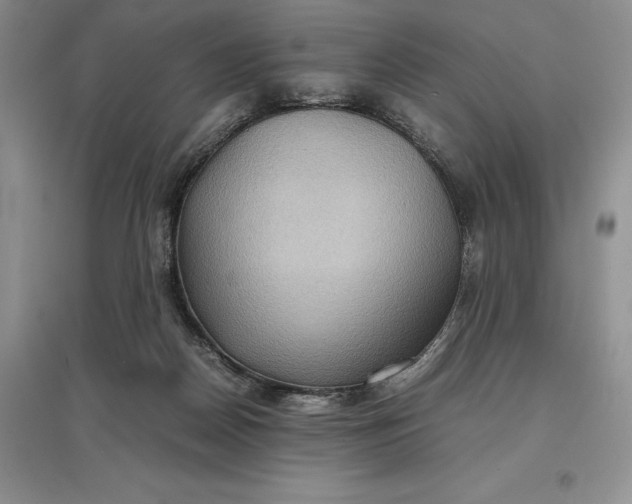 X0000097600170200803141924