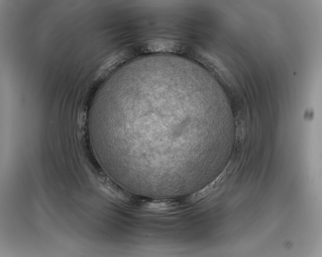 X0000097600171200803141924