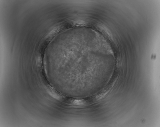 X0000097600173200803141924