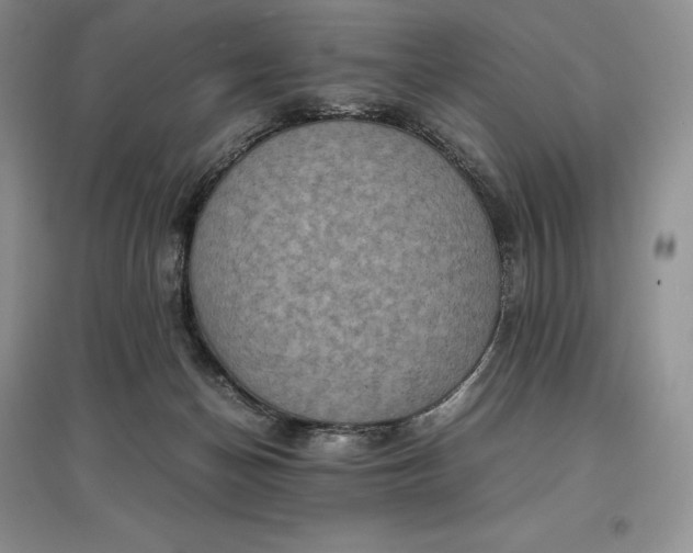 X0000097600174200803141924