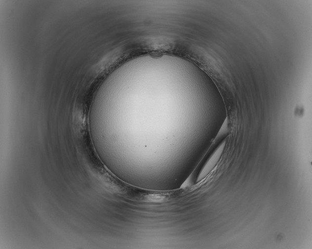 X0000097600176200803141924