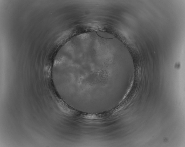 X0000097600177200803141924