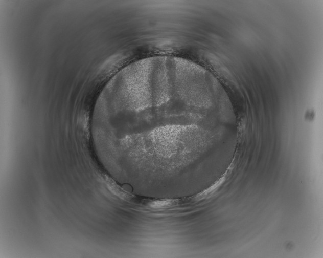 X0000097600178200803141924