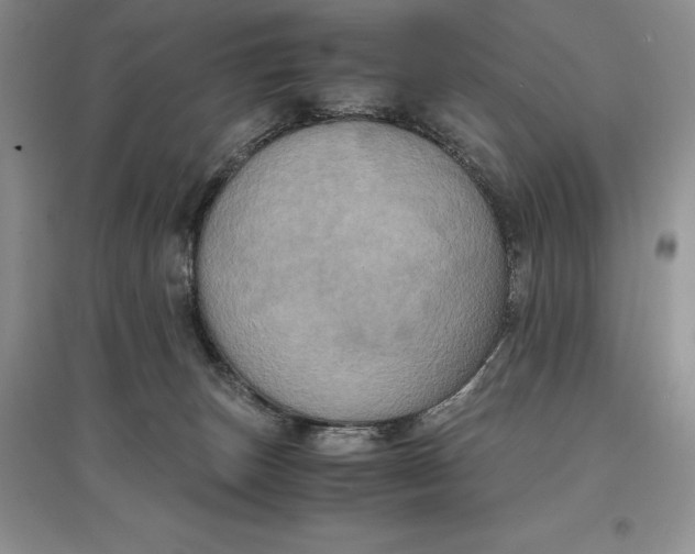 X0000097600179200803141924